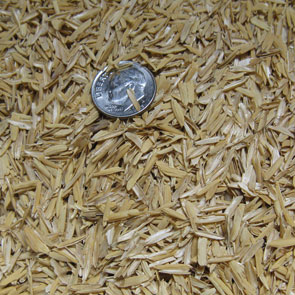 ricehulls (1)