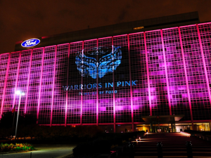 warriors in pink building